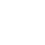 campaign icon