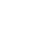 Visitor Icon